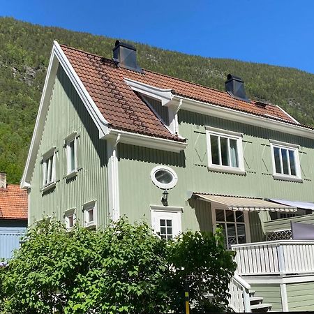 Tveitopark Apartments Rjukan Buitenkant foto