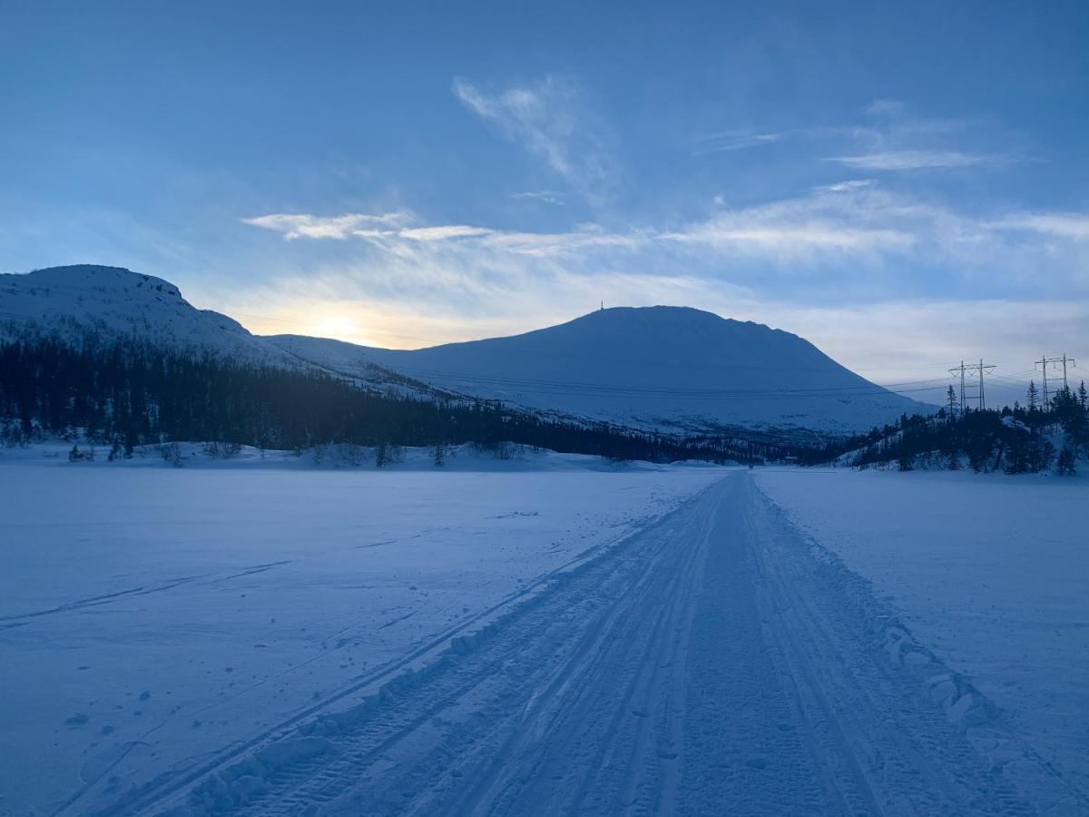 Tveitopark Apartments Rjukan Buitenkant foto